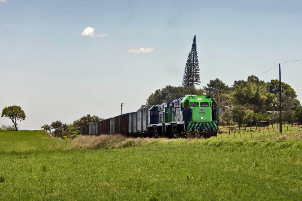 A Estrada de Ferro Paraná Oeste S/A, ou Ferroeste, é uma empresa ferroviária estatal brasileira criada em 15 de março de 1988, que tem como principal acionista o estado do Paraná. Está no ranking das 500 maiores empresas do Sul do Brasil e entre as