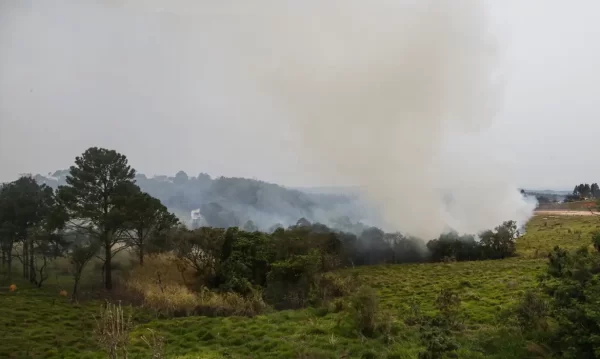 incendios