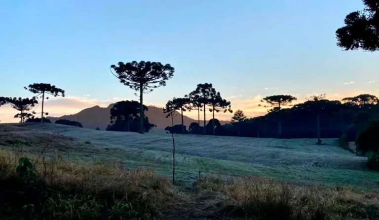 frio