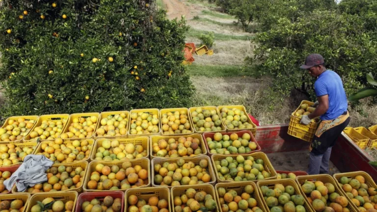 laranja