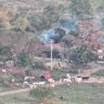 sitio icaraima