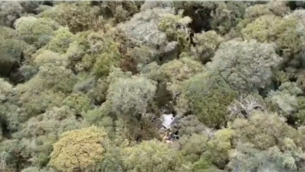 O Corpo de Bombeiros informou que a aeronave encontrada seria a mesma que viajava o sertanejo Rick, da dupla com Renner e Bruno Avelar, palestrante e coach de Neymar Jr.,além de outros ocupantes, incluindo o piloto e copiloto da aeronave, que estão entre os mortos.